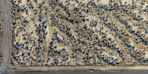 Image 4: DJI_20260303160756_0886_D