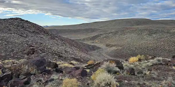 Image 2: Photo 2