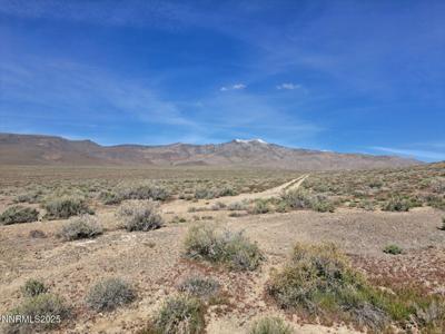 01564002 Near Buffalo Mountain