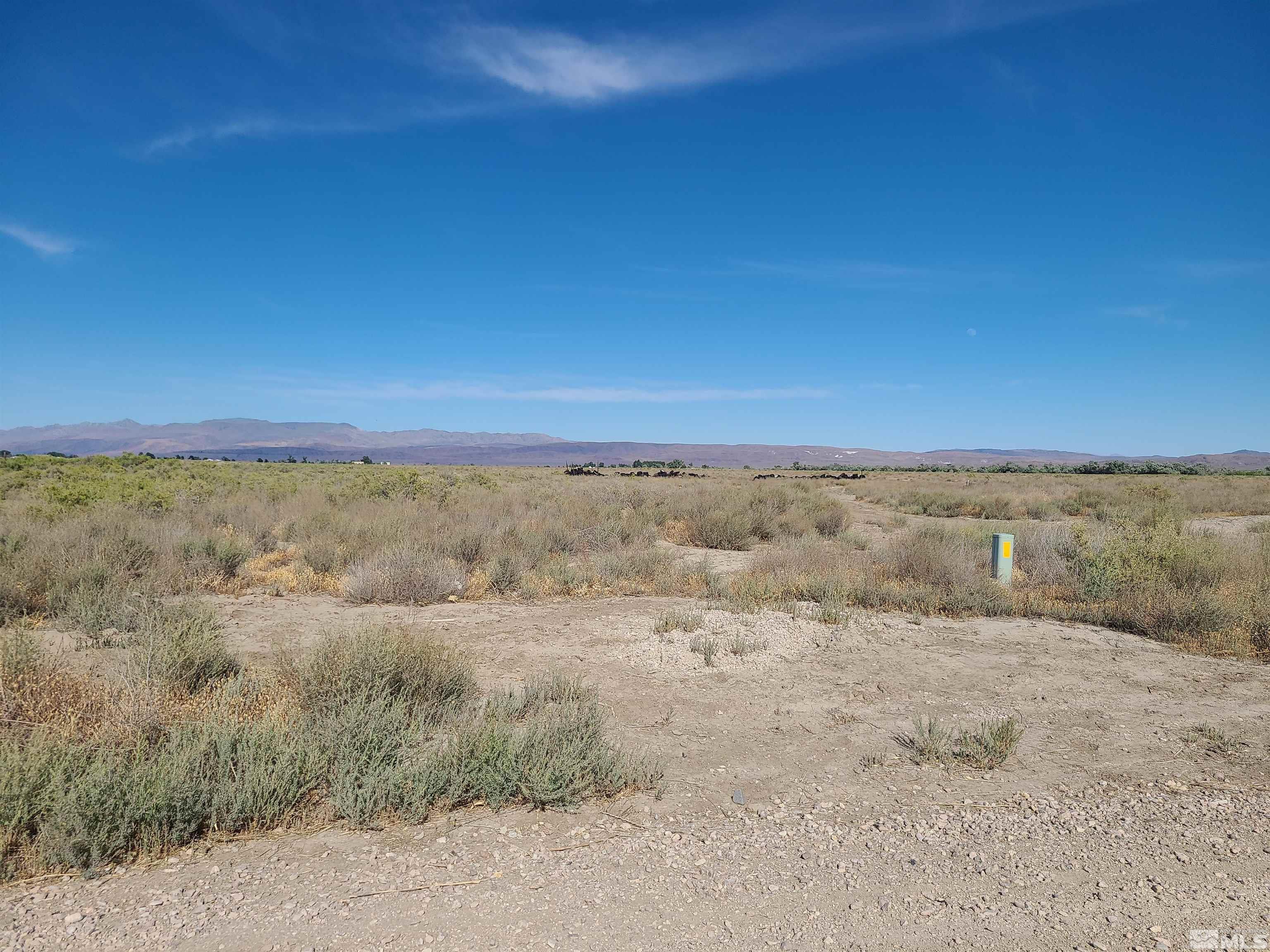 Image 2: Photo 2