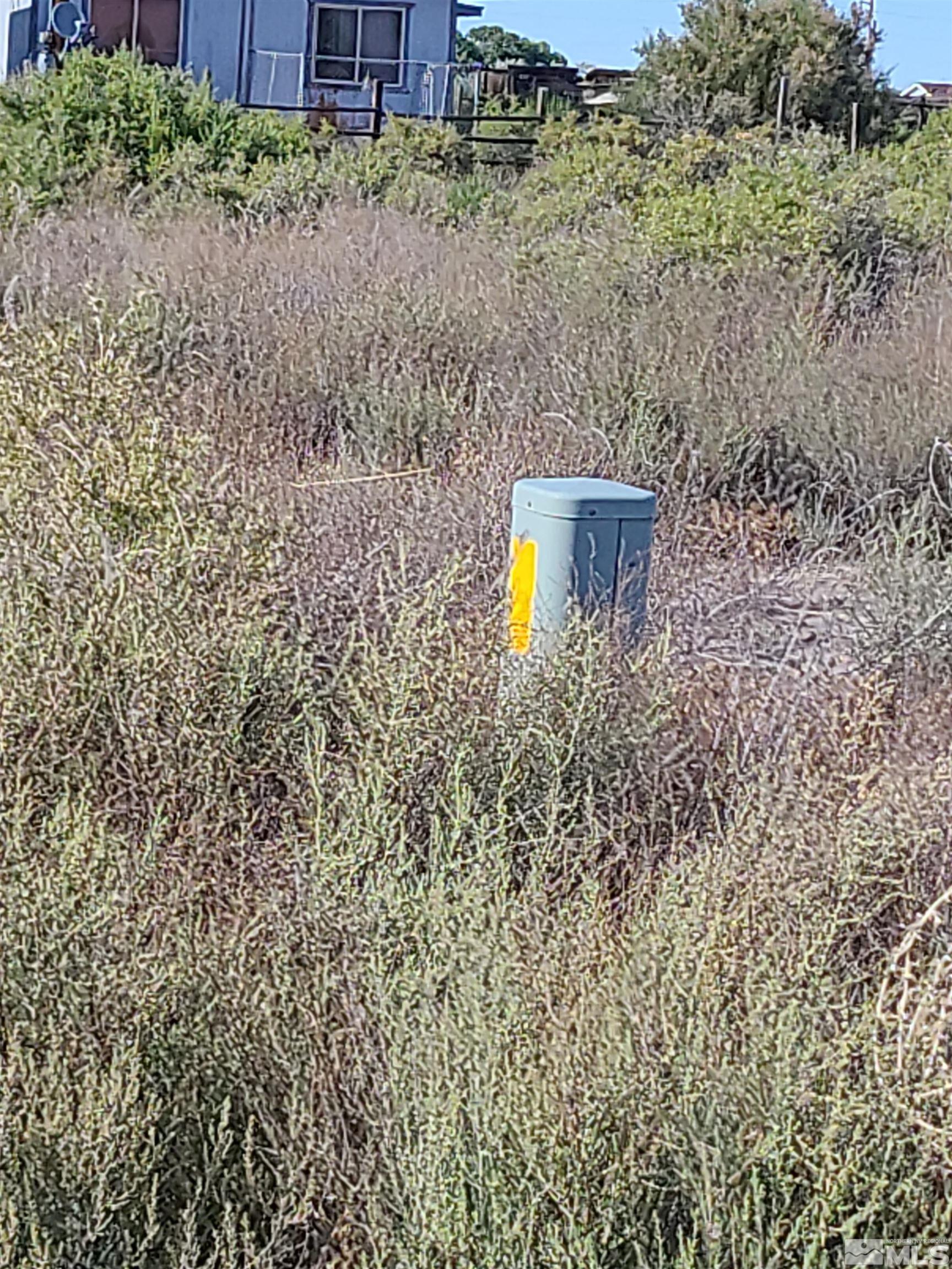 Image 4: Photo 4