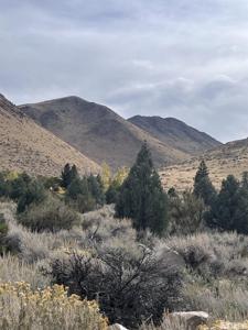 Lot 10 Mill Creek