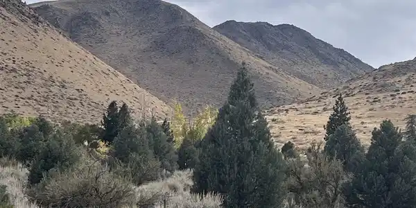 Lot 10 Mill Creek