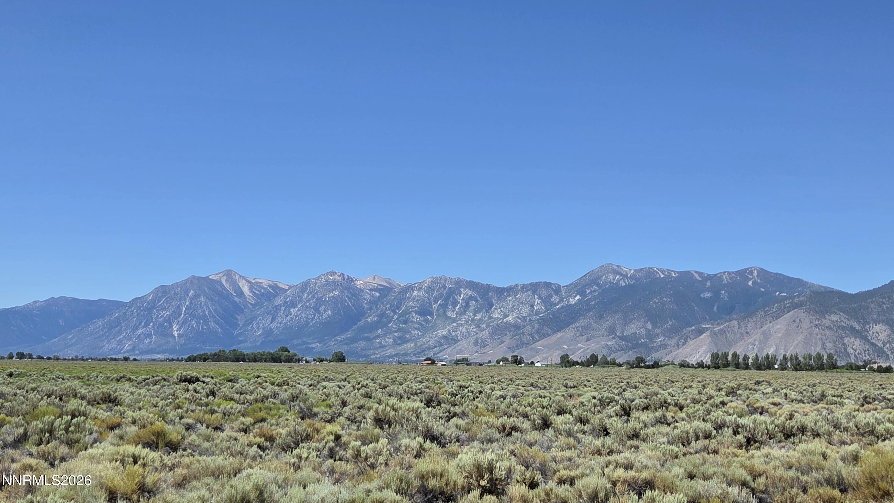 Image 3: 20260716_111327