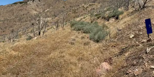 Image 2: Entering the property