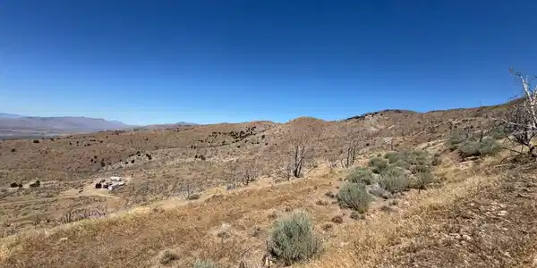 Image 4: land 4