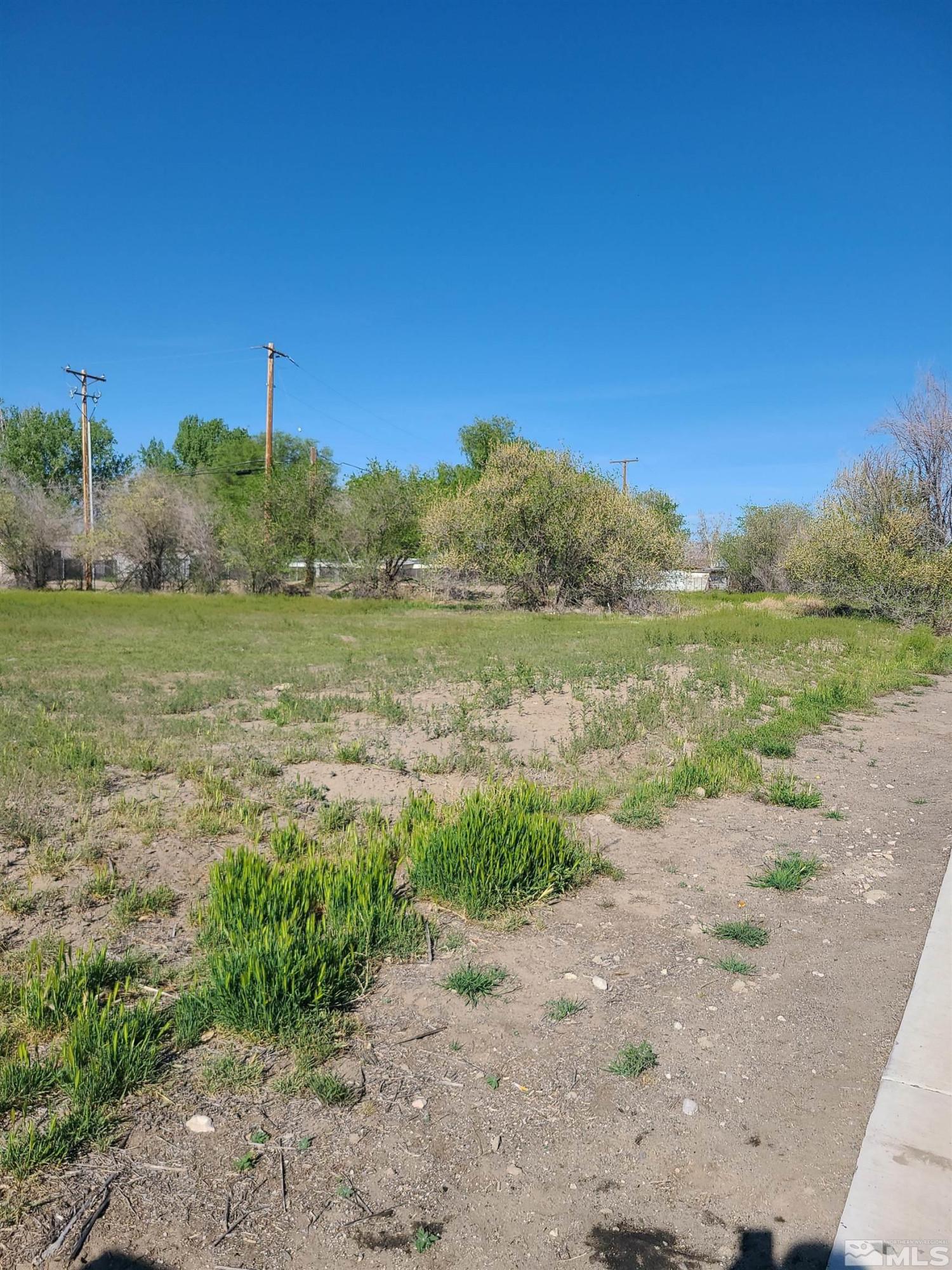 Image 3: Photo 3