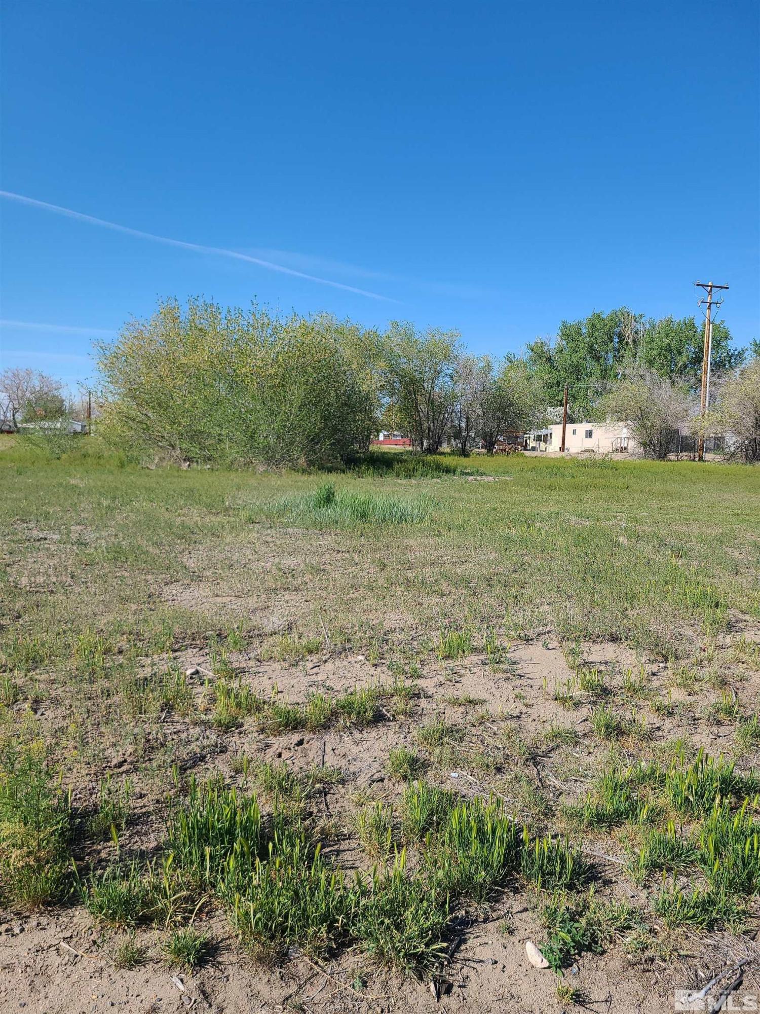 Image 4: Photo 4