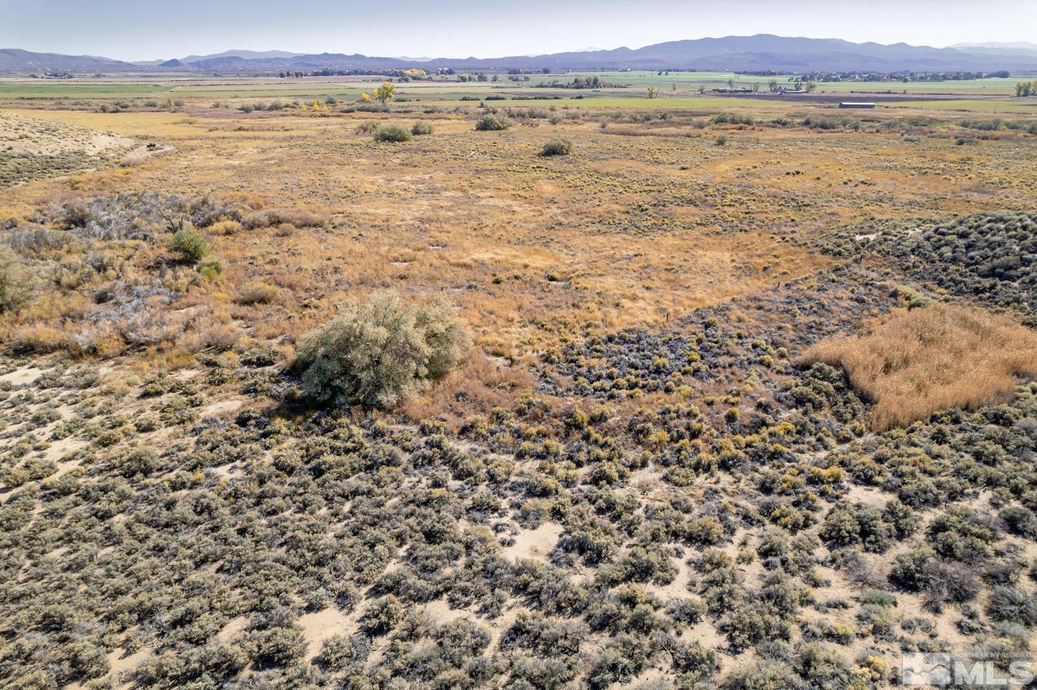 Image 4: Photo 4