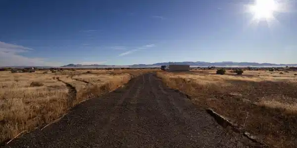 Image 2: MLS-2