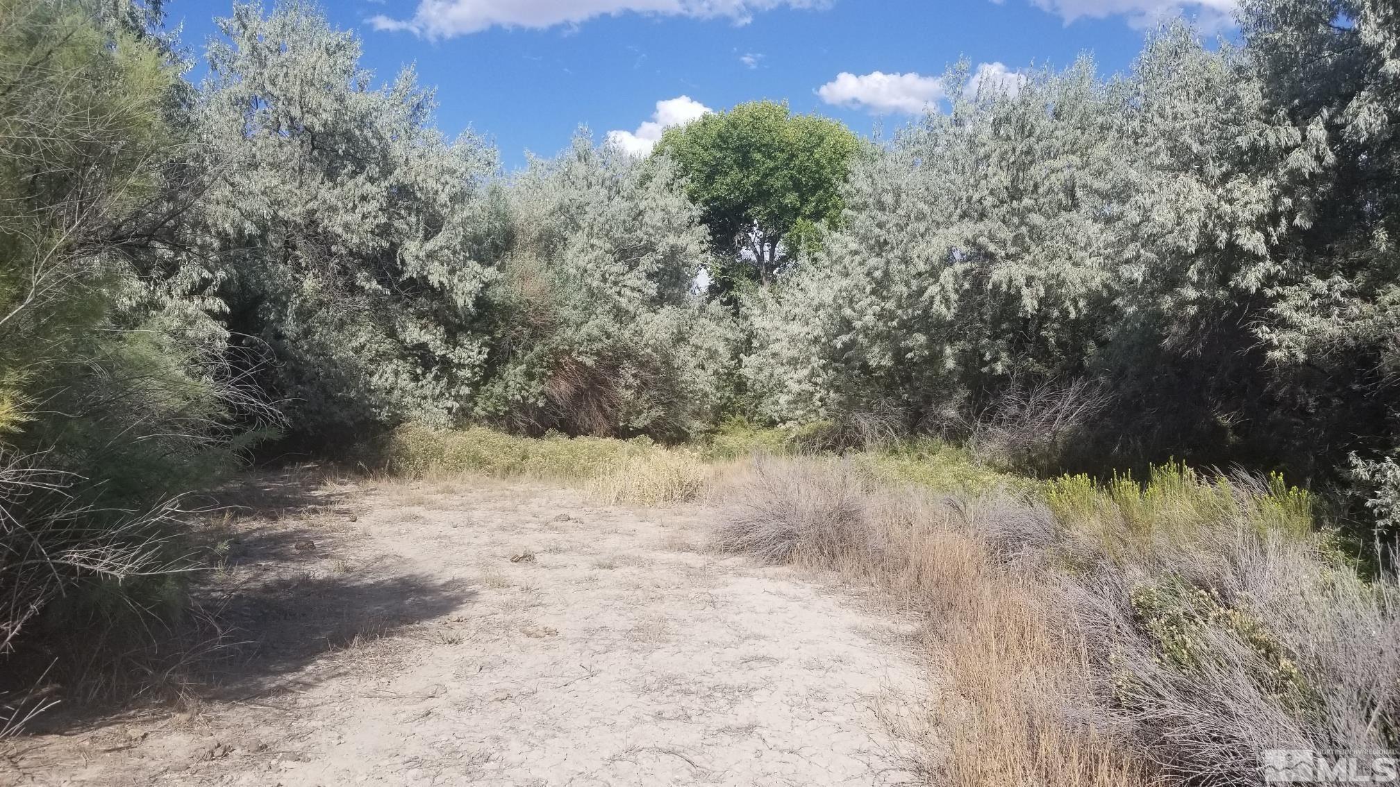 Image 1: Photo 1