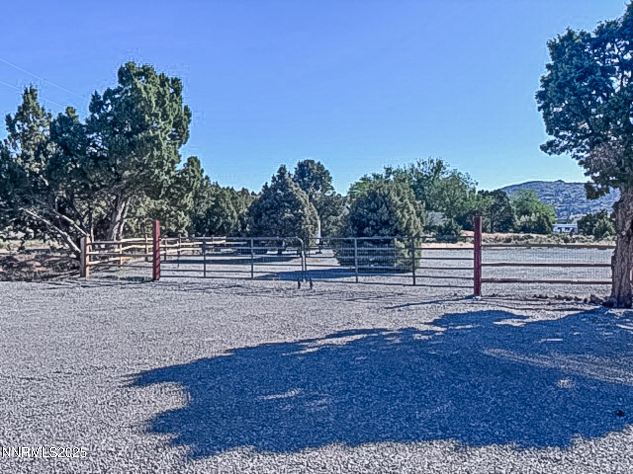 Image 3: Side Yard