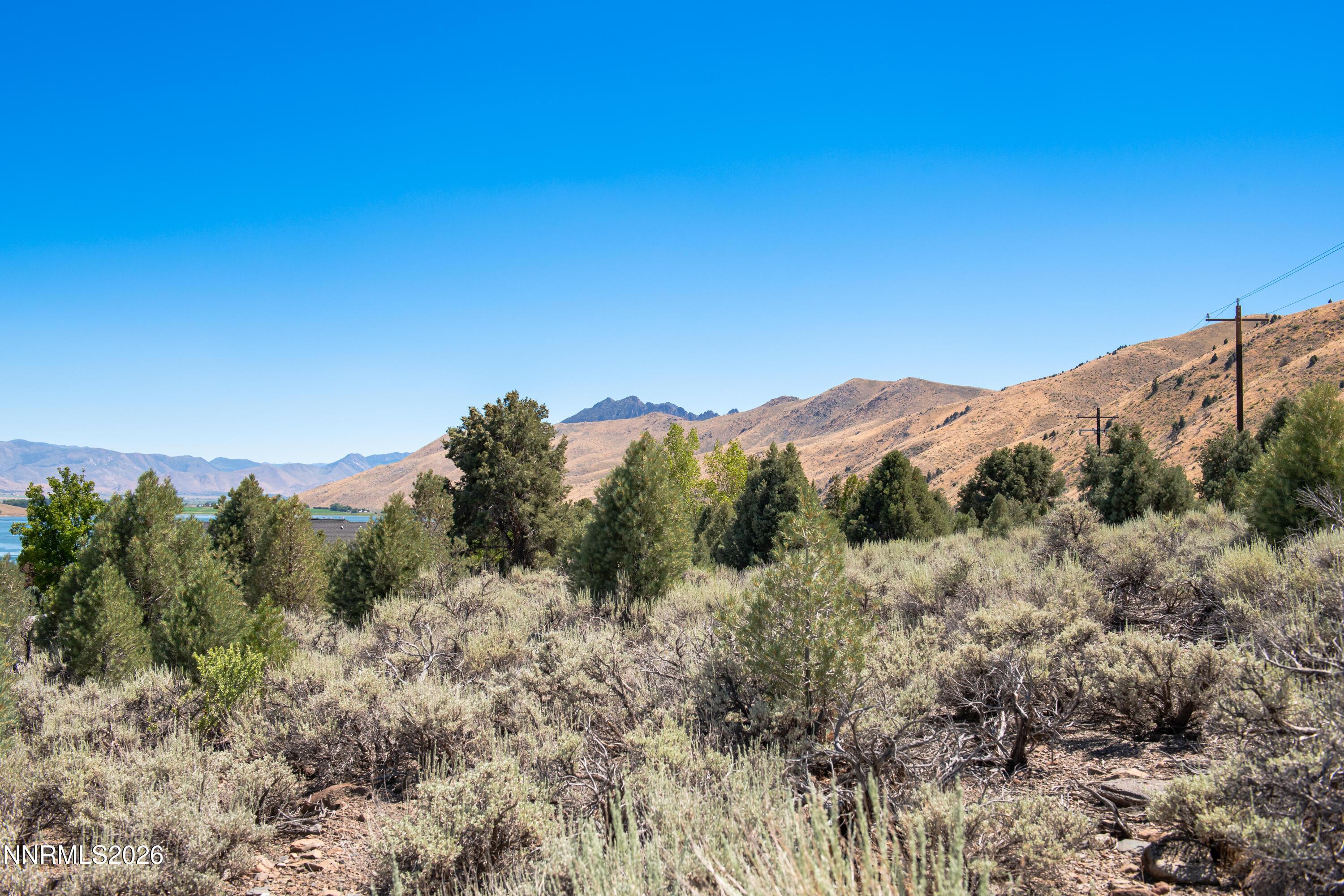 Image 3: 2006 Goldfield Dr-3