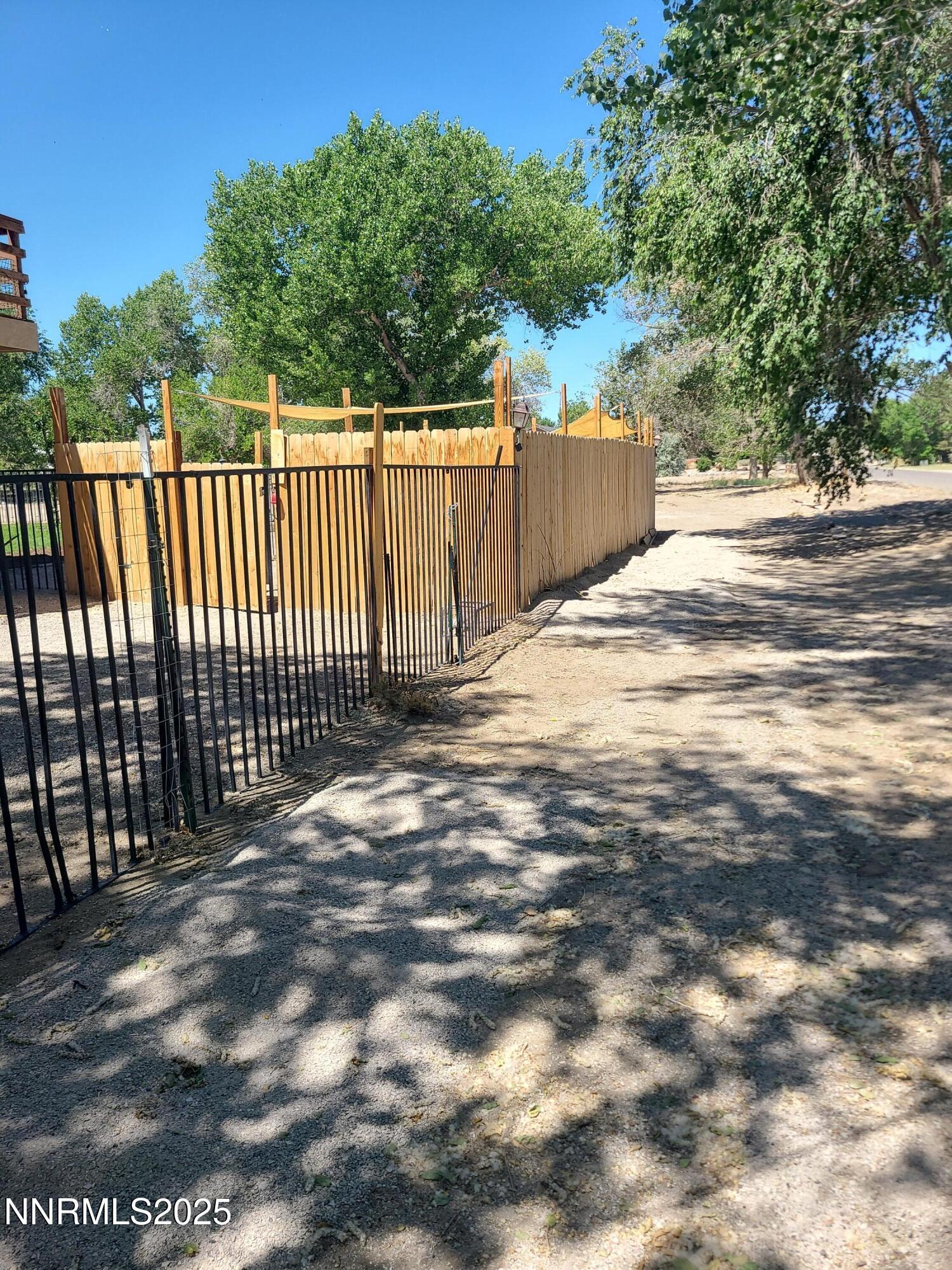 Image 4: RON DOG RUN 25