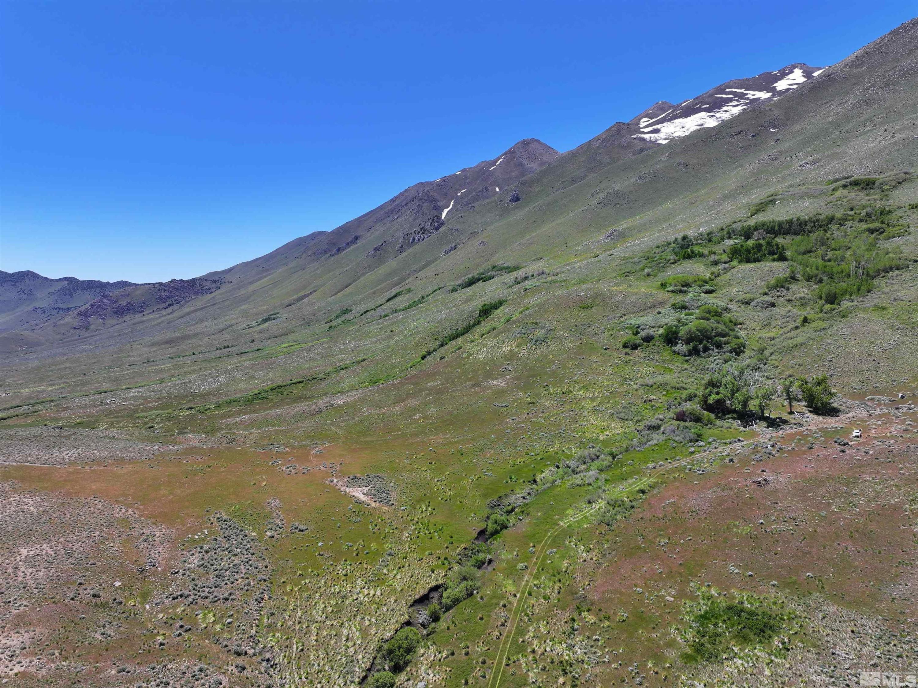 Image 4: Photo 4