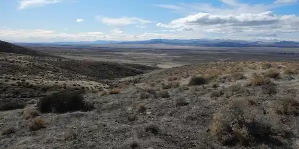 Image 2: Photo 2
