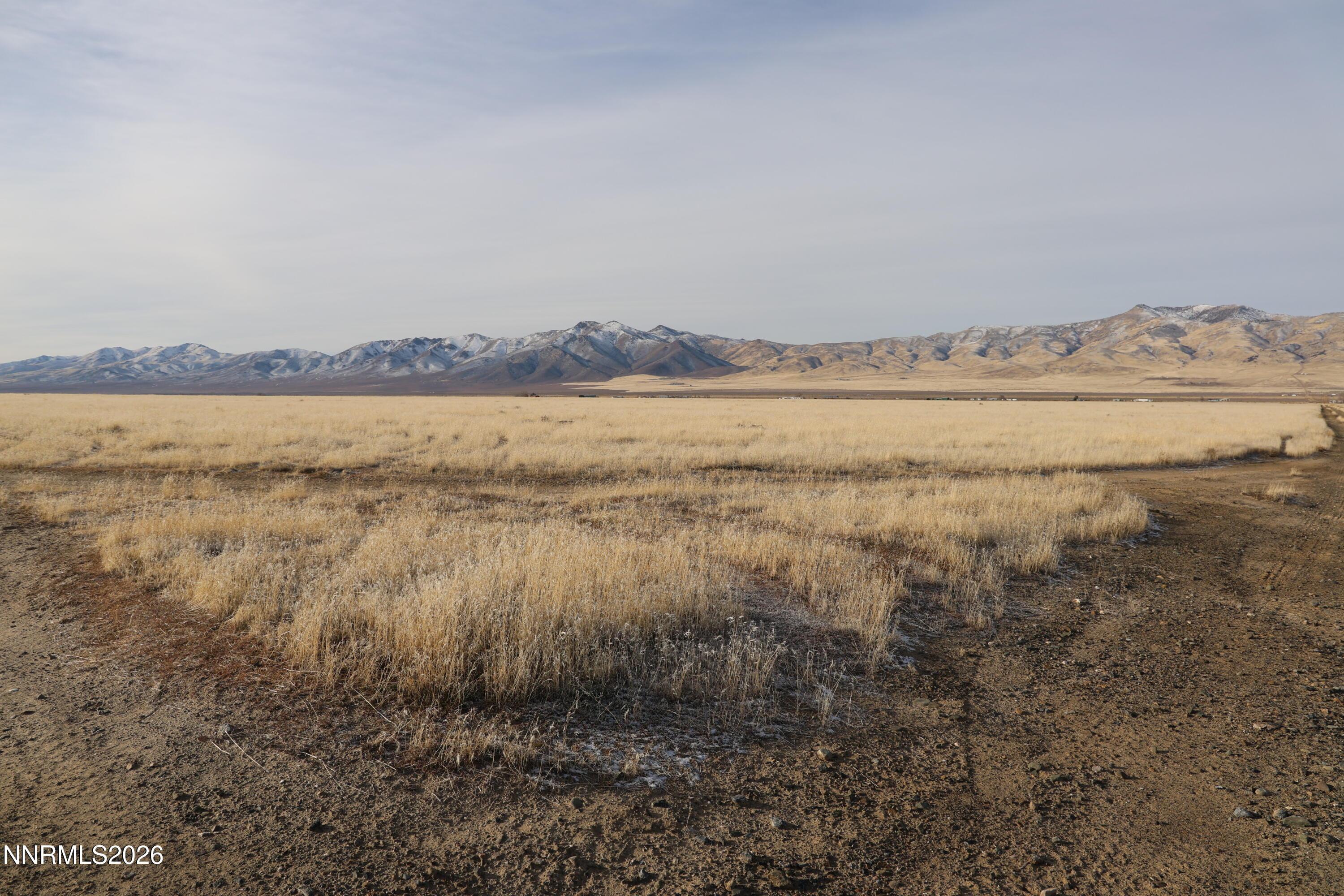 Image 4: IMG_9955