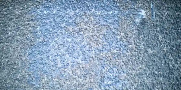 Image 4: DJI_0377-EDIT2