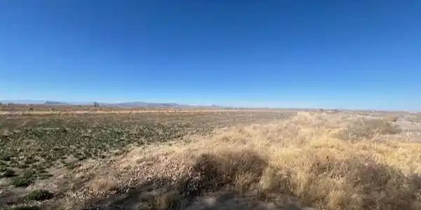 40.23 Acres Workman Road