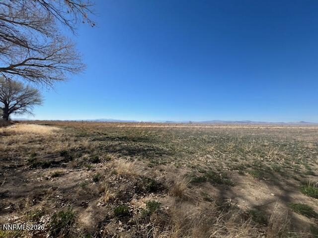 Image 2: Workman Rd 2