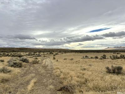 03074122 McDermitt