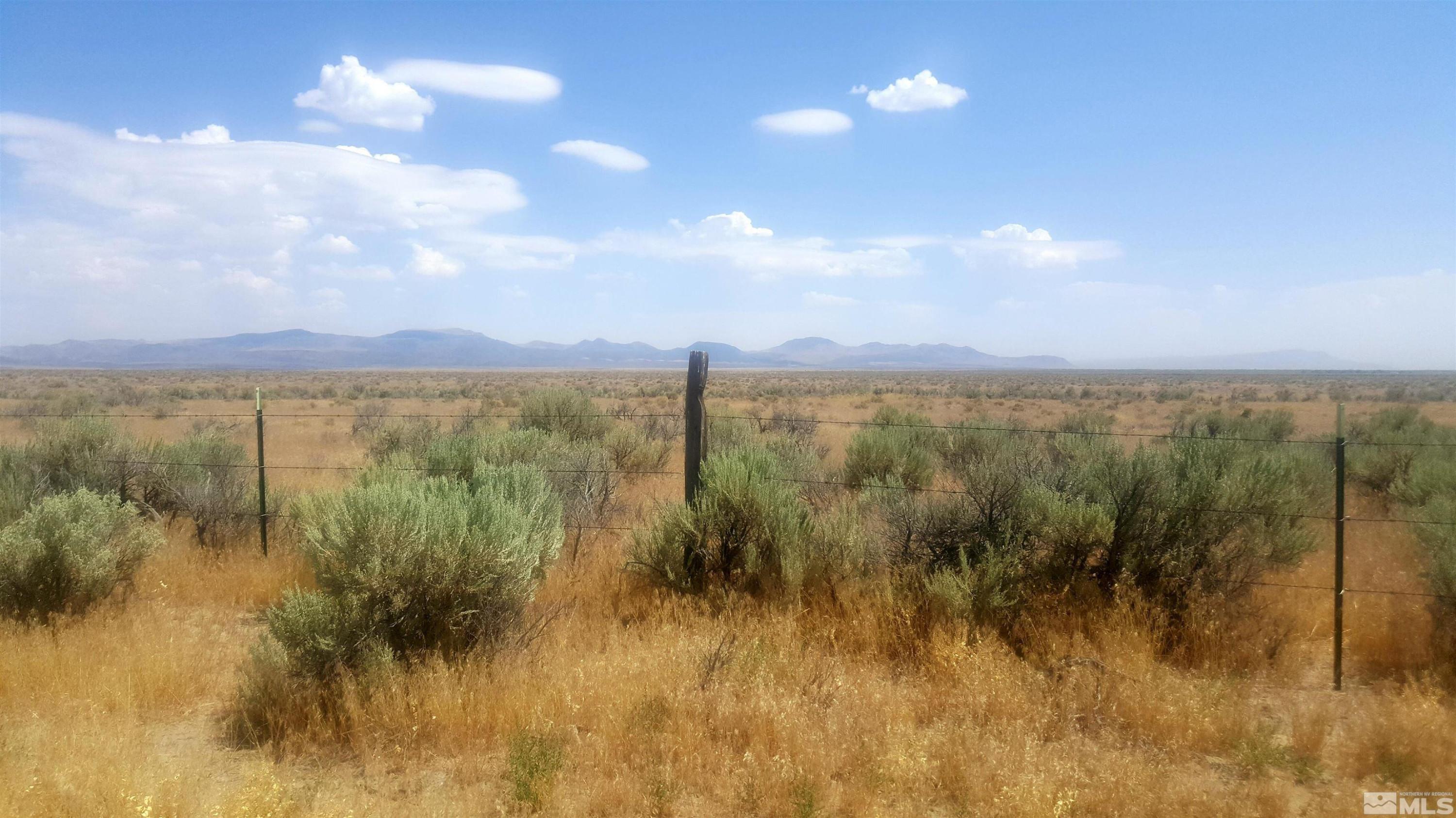 Image 3: Photo 3
