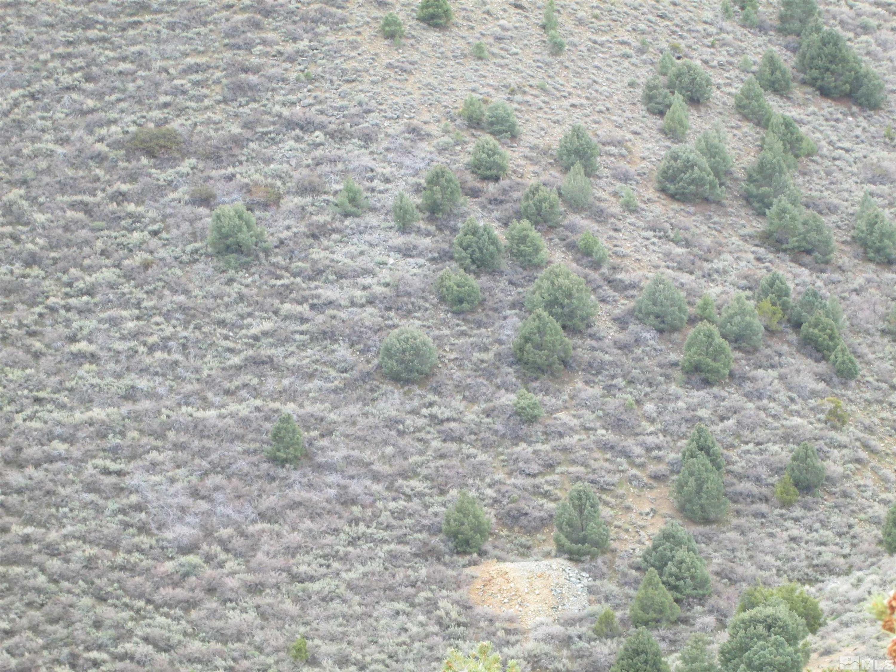 Image 2: Photo 2