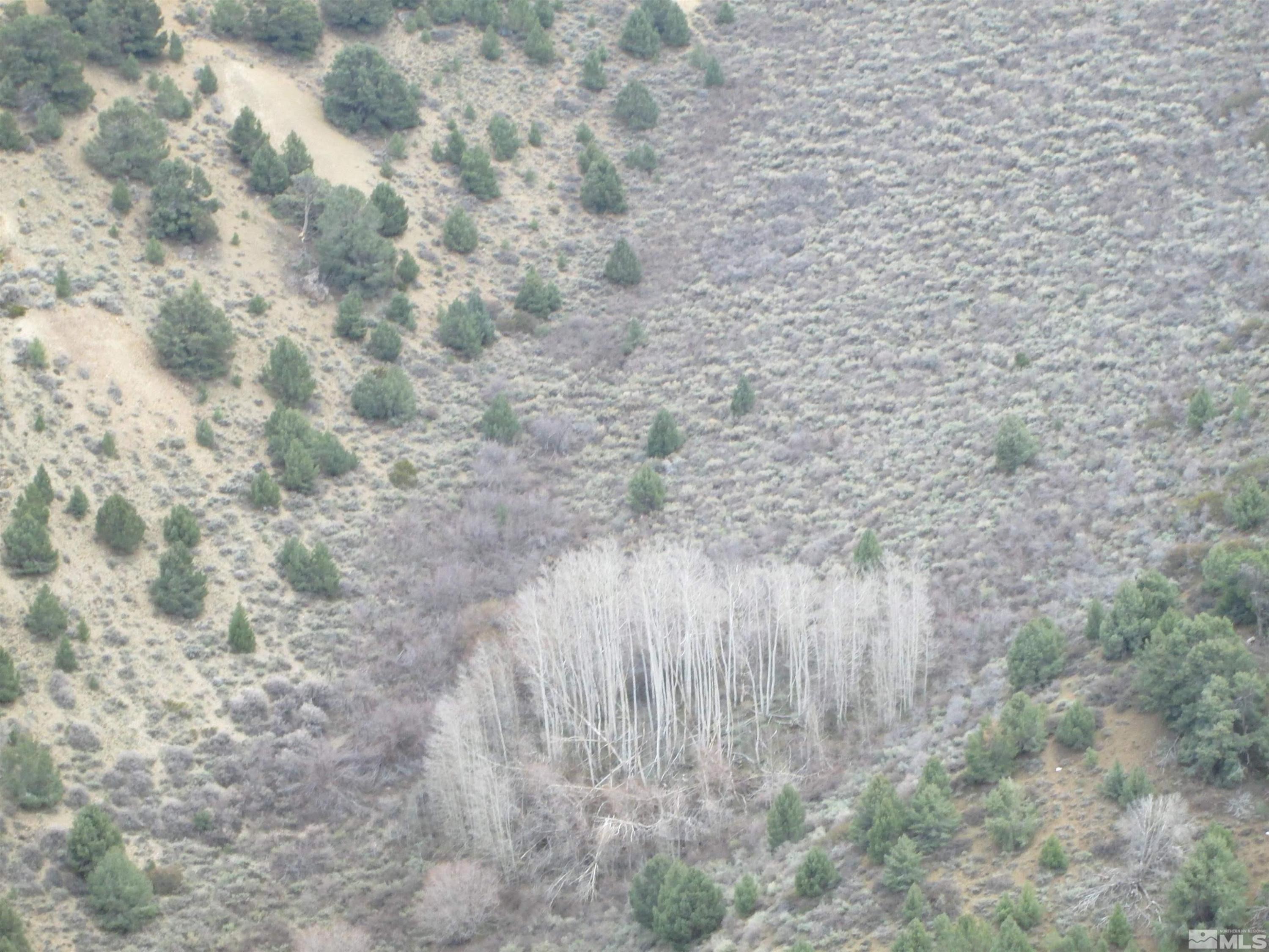 Image 4: Photo 4