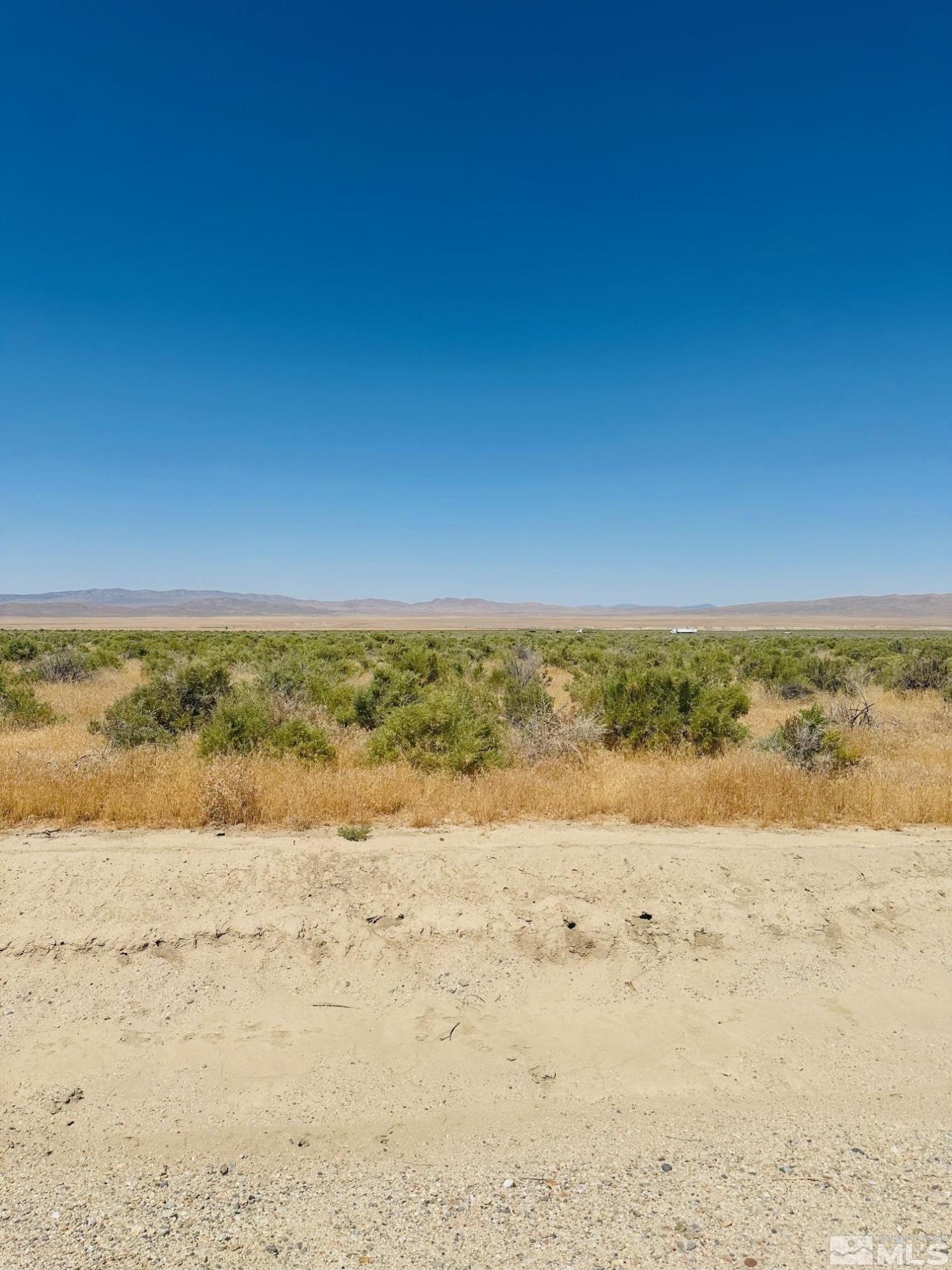Image 3: Photo 3
