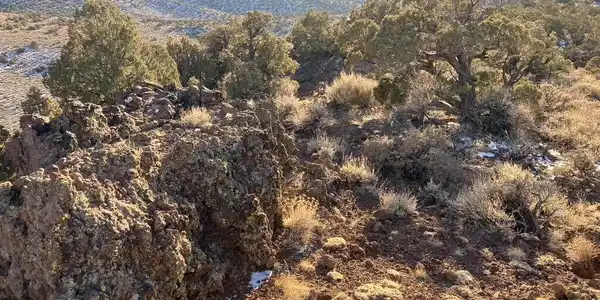 00 Microwave Road