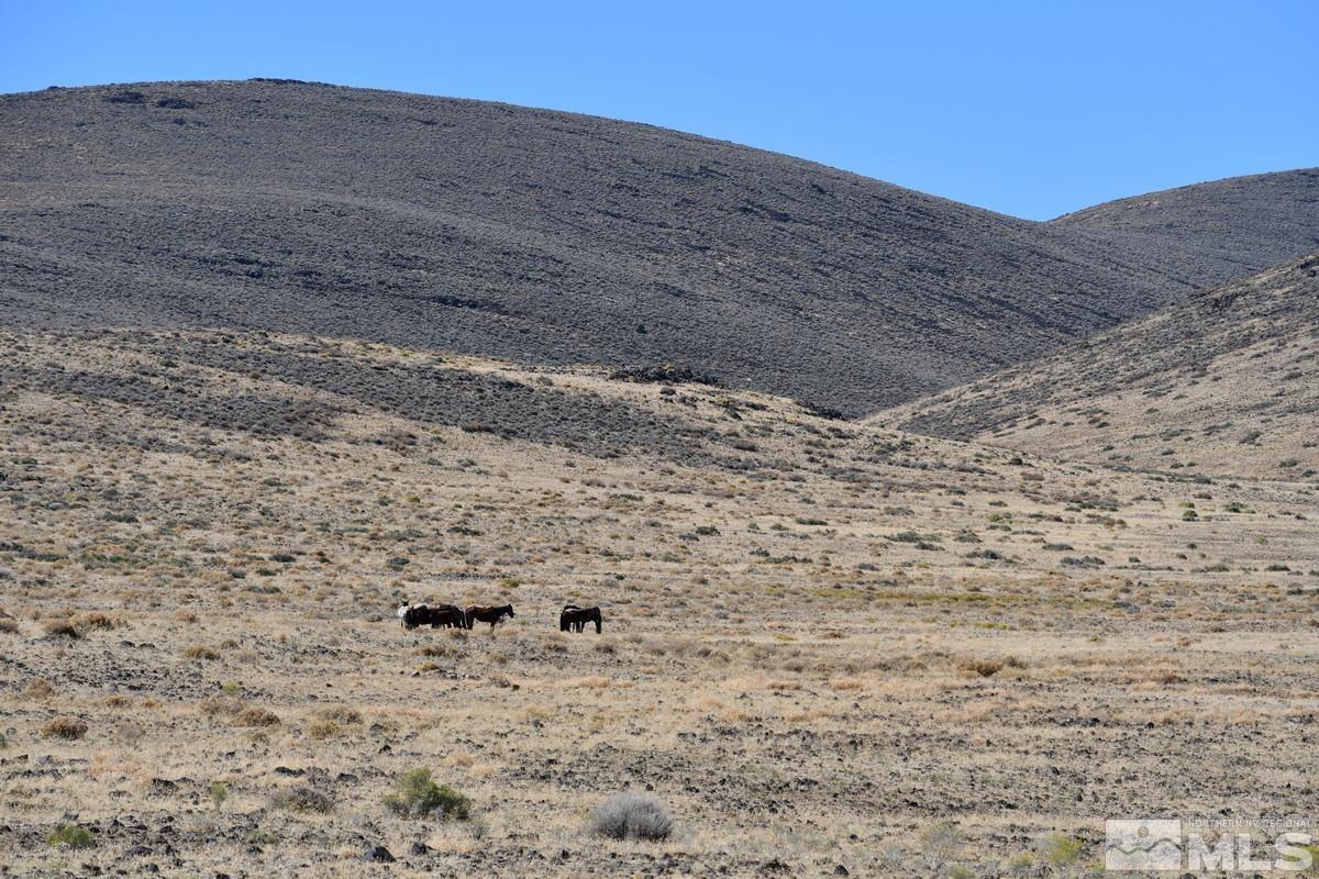 Image 4: Photo 4