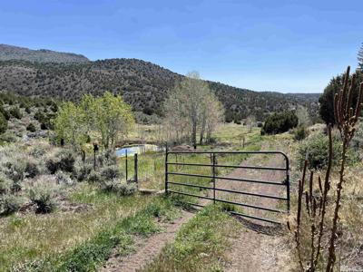 0 Quaking Aspen/Microwave Road