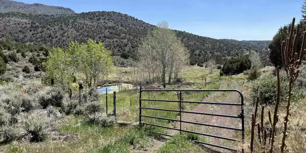 0 Quaking Aspen/Microwave Road