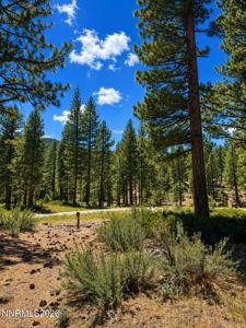 406 Rose Summit Trail