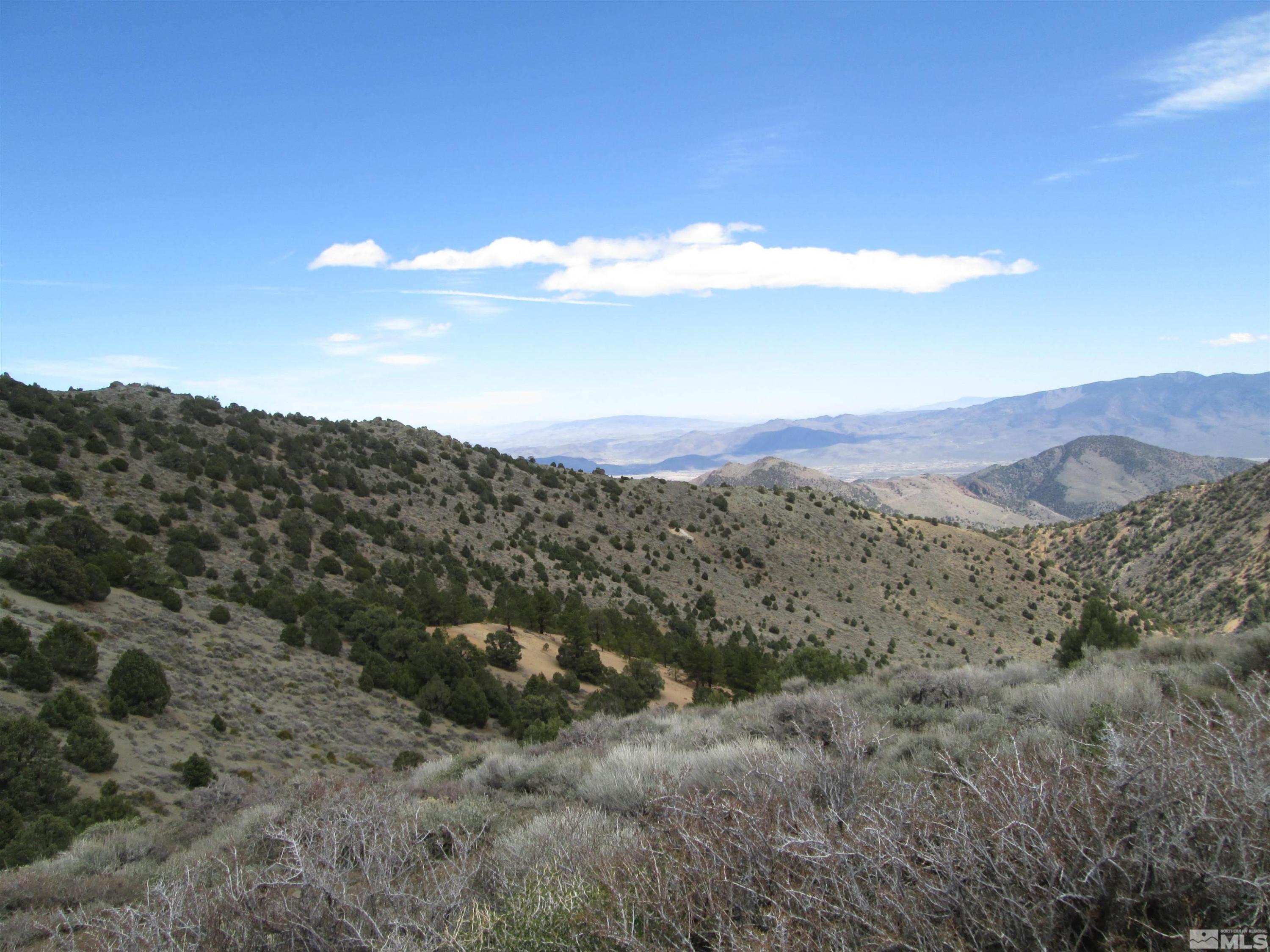 Image 1: Photo 1