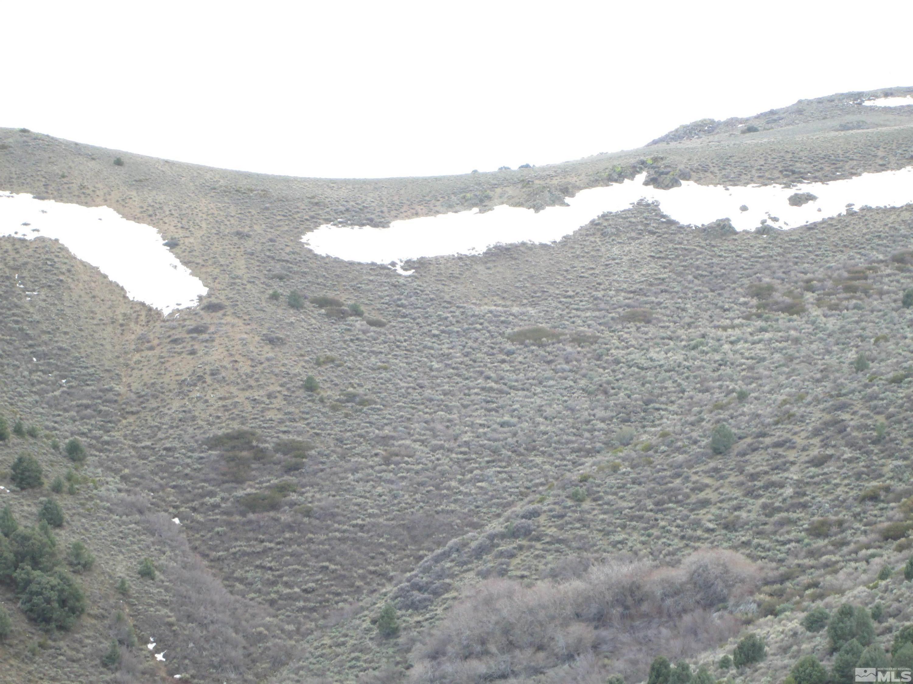 Image 2: Photo 2