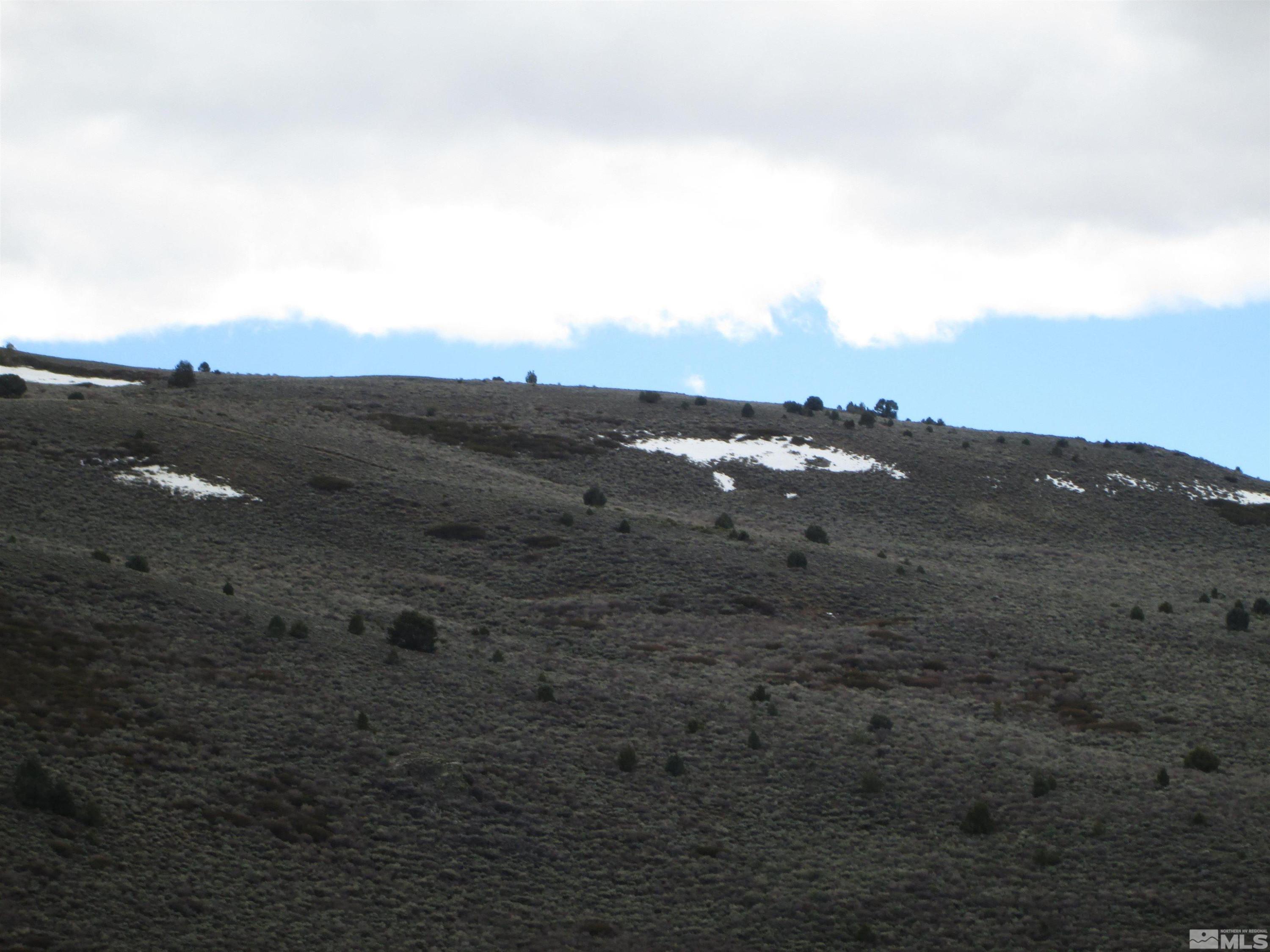 Image 3: Photo 3