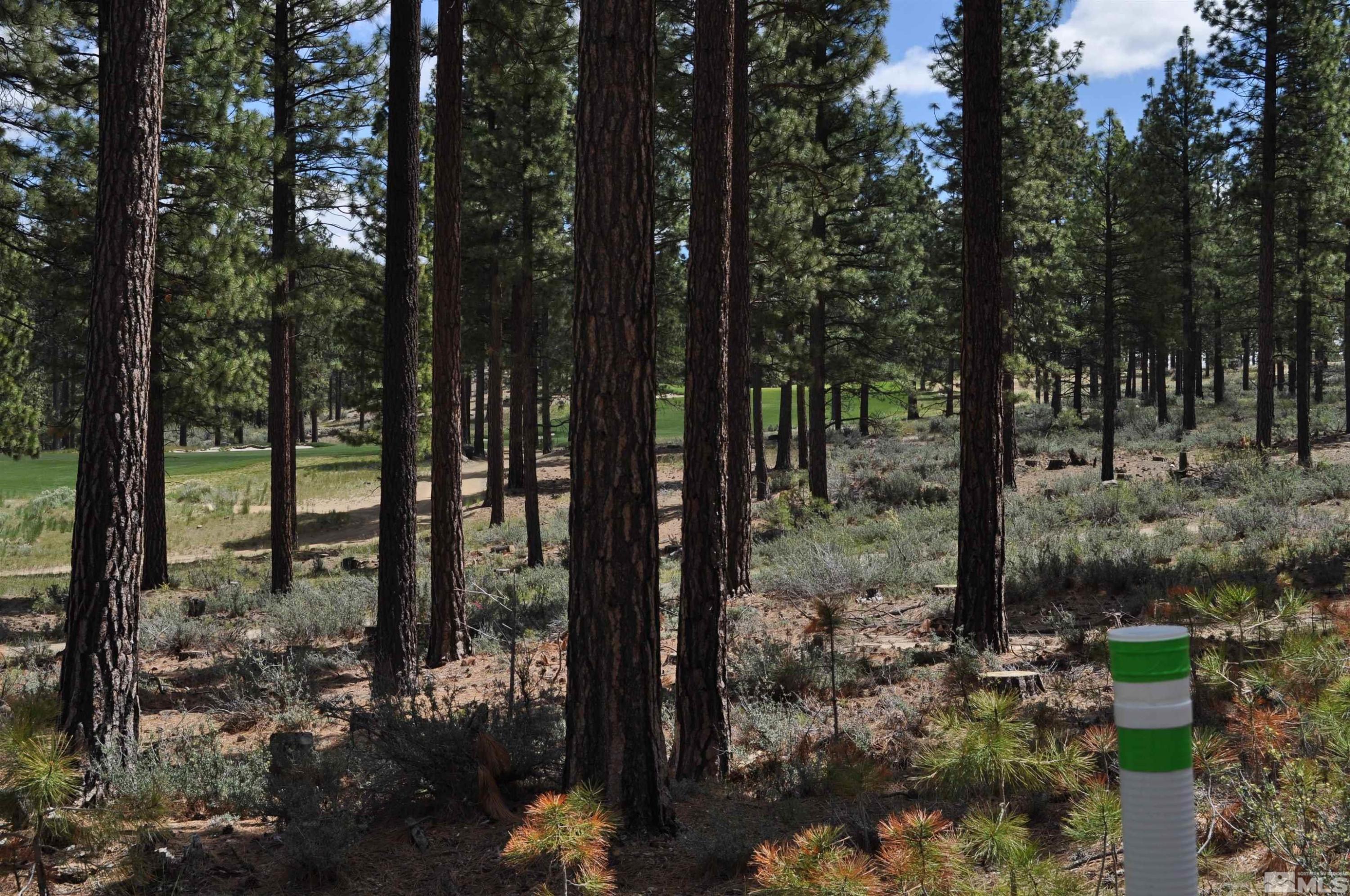 Image 1: Photo 1