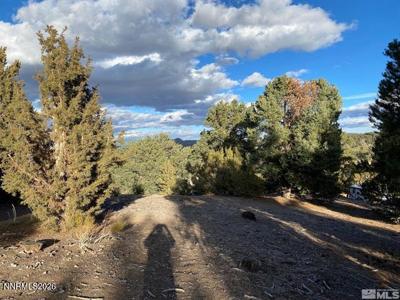 21650 Palamino Road