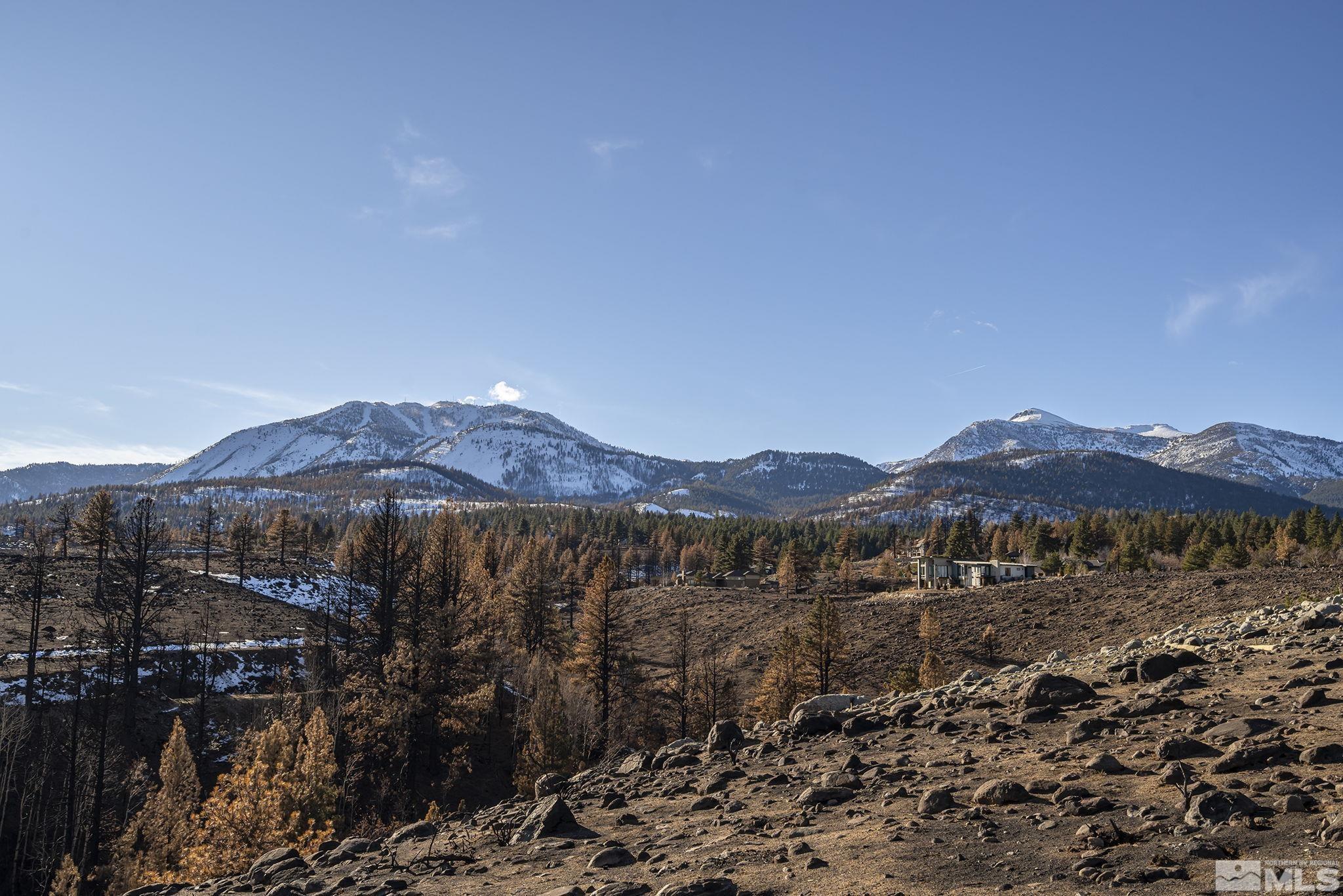 Image 2: Photo 2