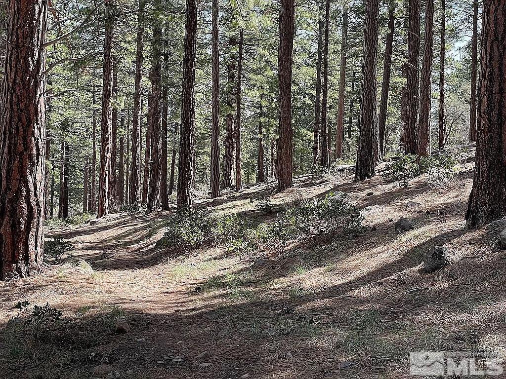 Image 2: Photo 2