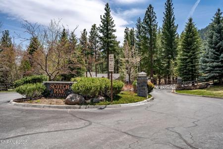 293 E Jeffrey Pine Road