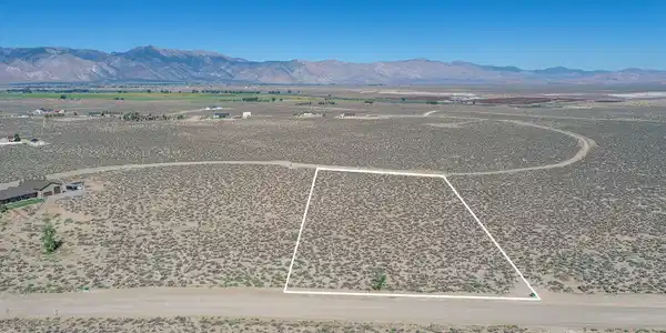 Image 2: Propertylines3