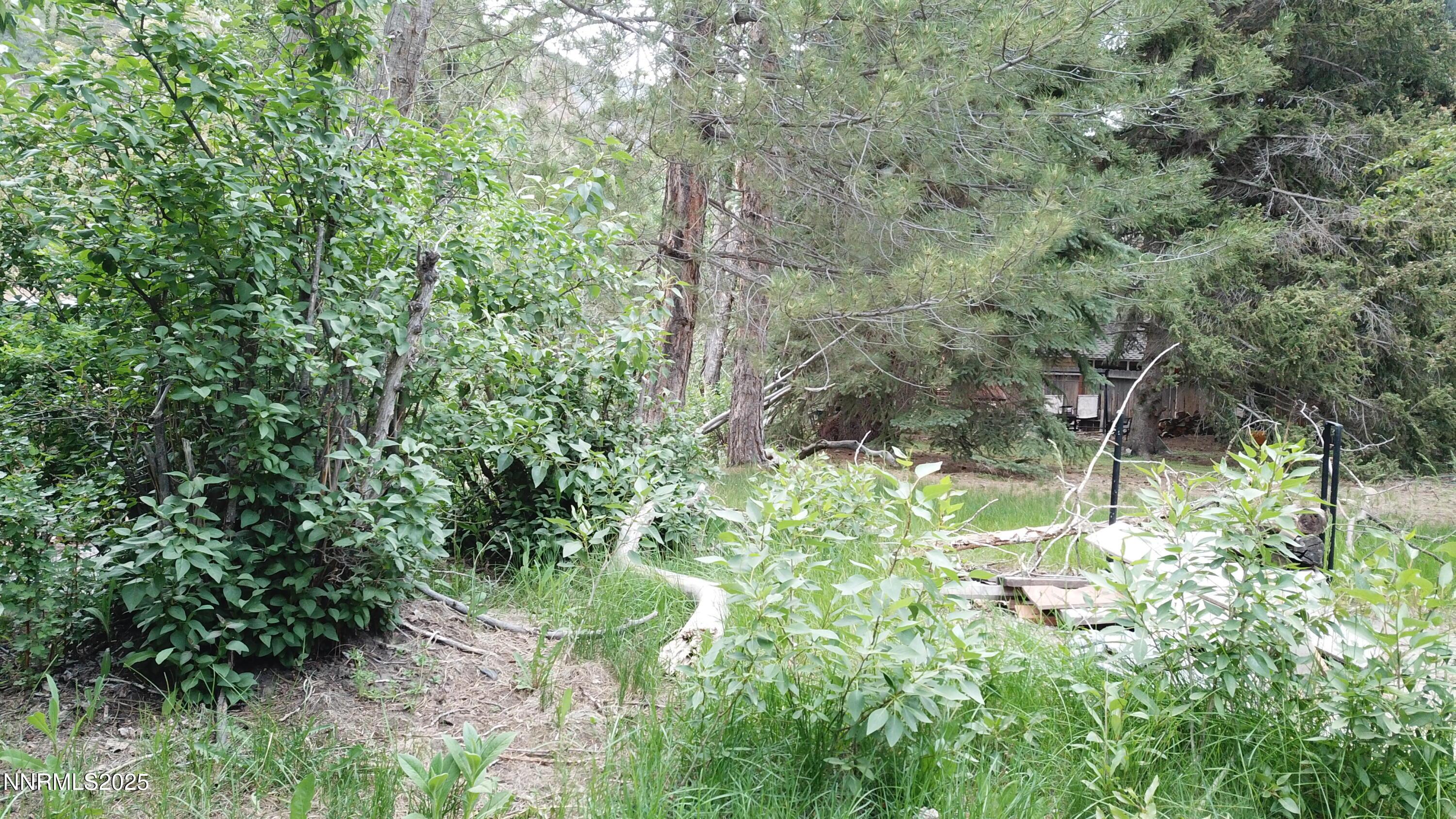 Image 4: DJI_0642