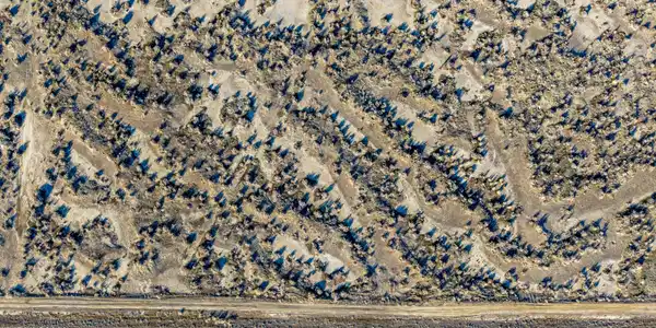 Image 4: DJI_20260303160805_0891_D