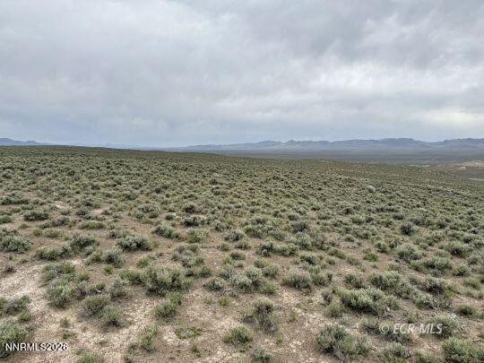 Image 1: Pine St