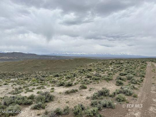 Image 3: Pine St2
