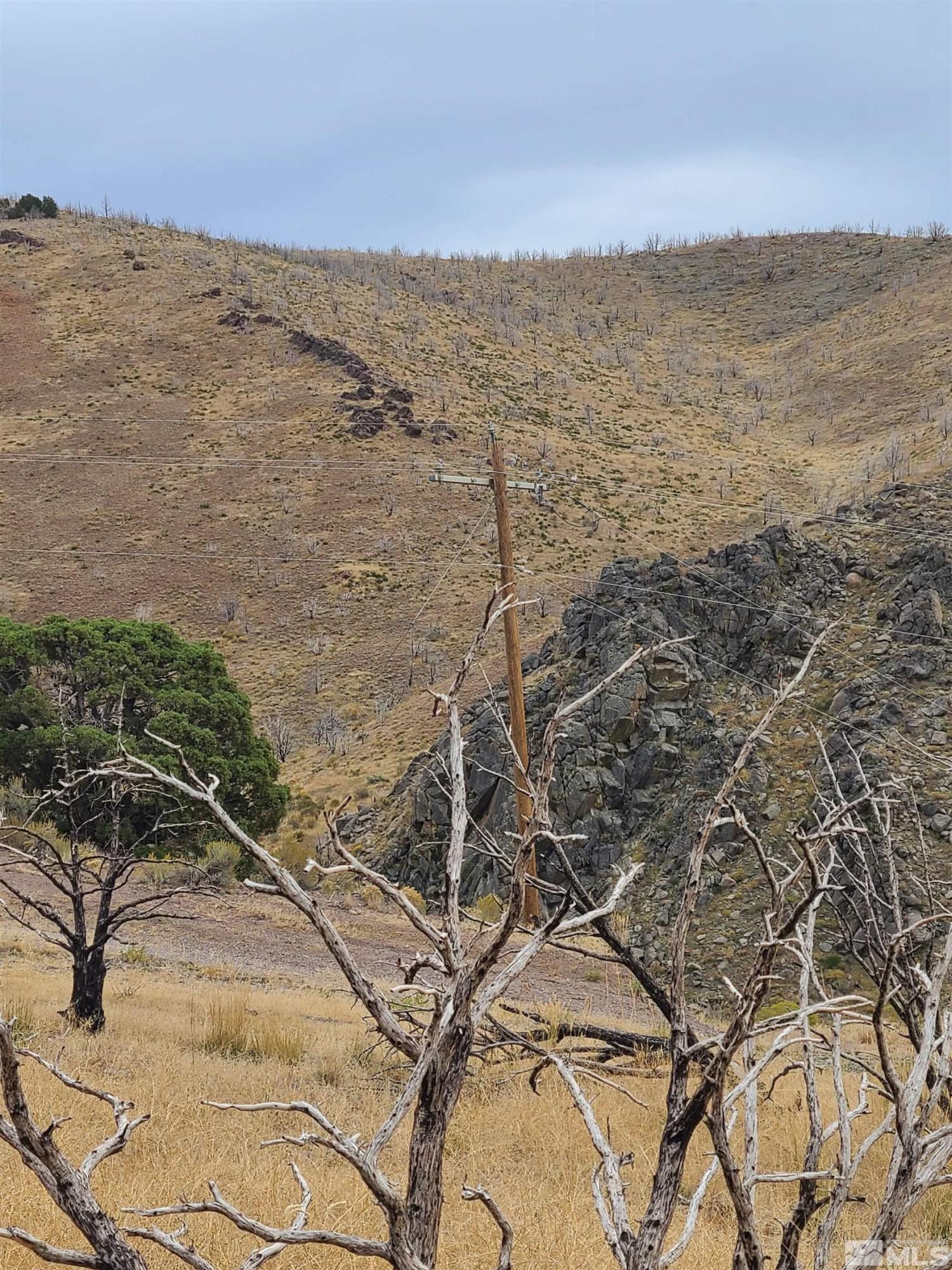 Image 4: Photo 4