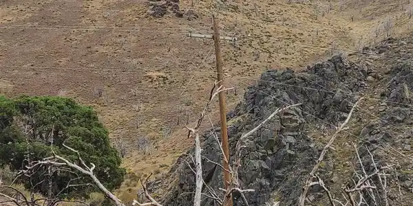 Image 4: Photo 4