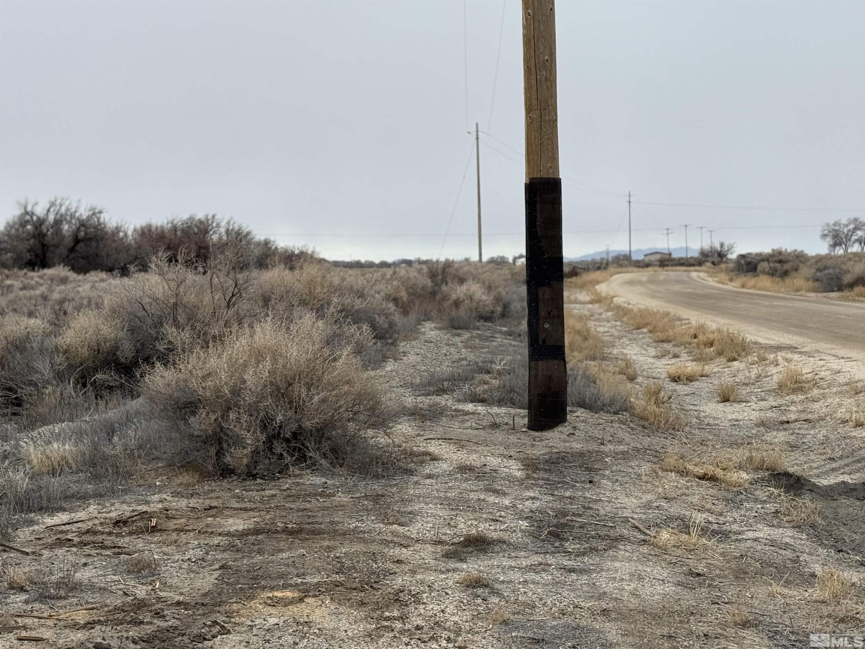 Image 2: Photo 1
